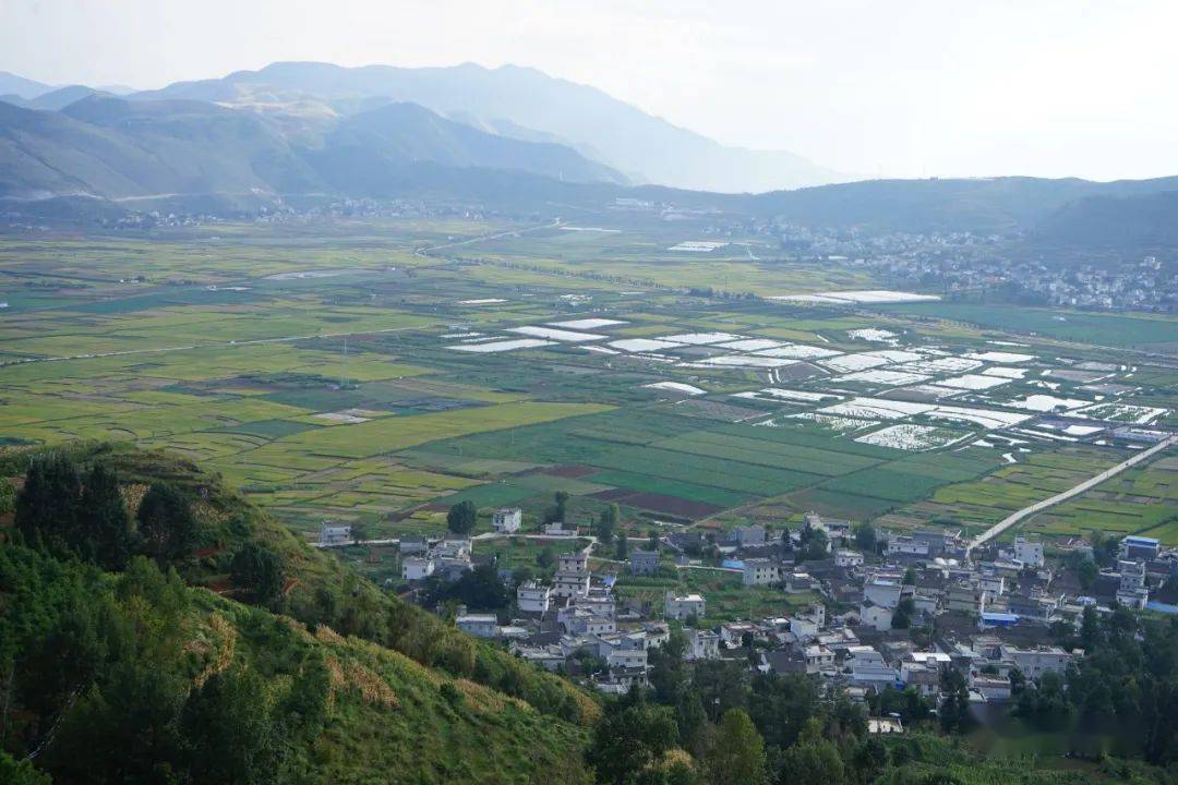 娜姑坝子:秋色染田园 "丰"景入画来_稻田_金色_农户