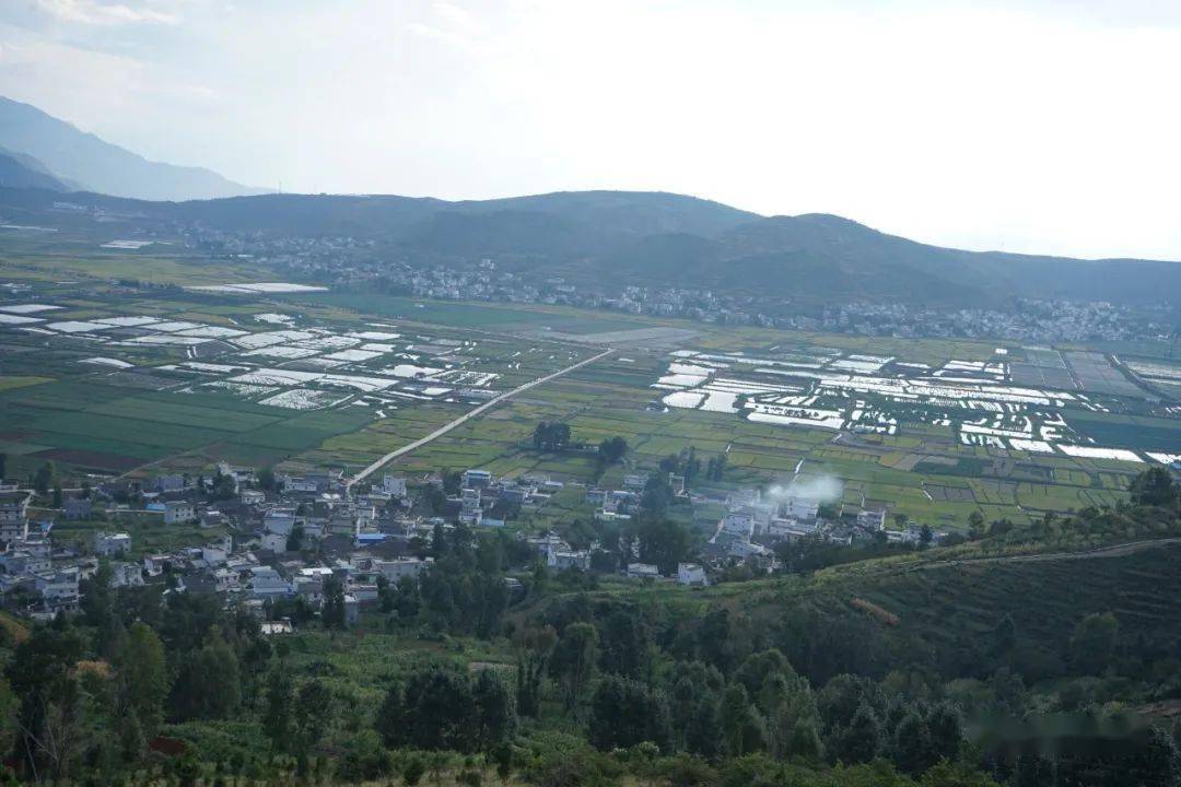 娜姑坝子:秋色染田园 "丰"景入画来_稻田_金色_农户