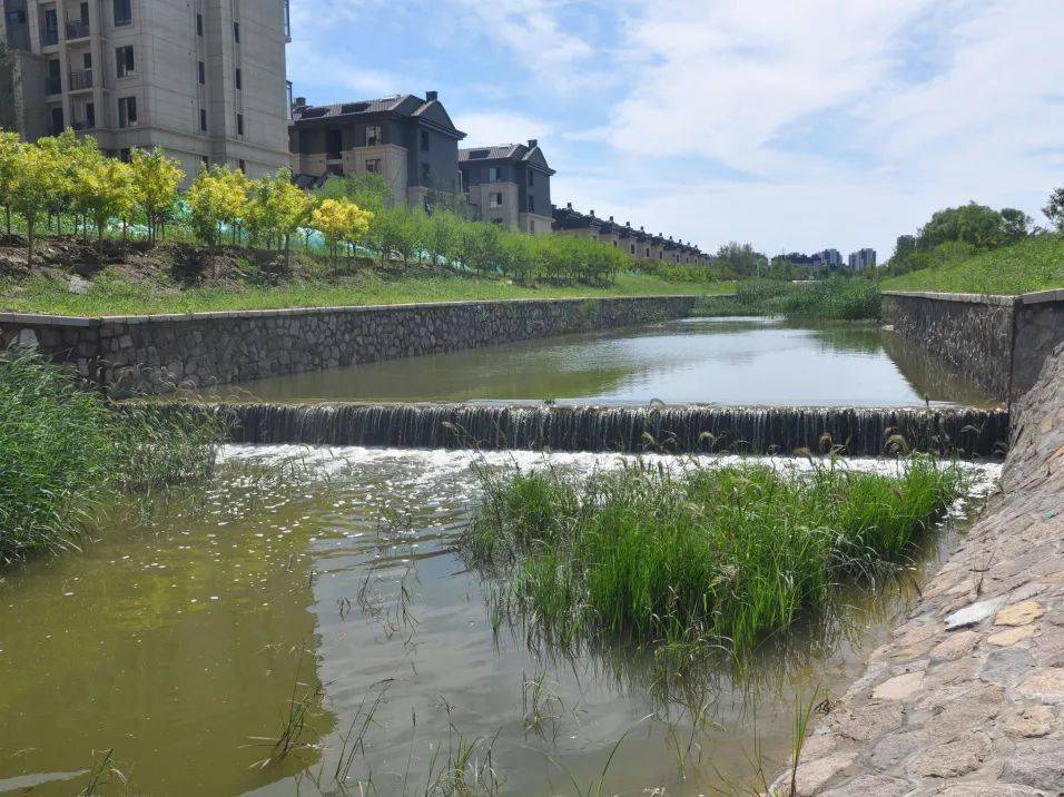 孙河组团中心湖综合治理完成啦~_生态_朝阳区_调水