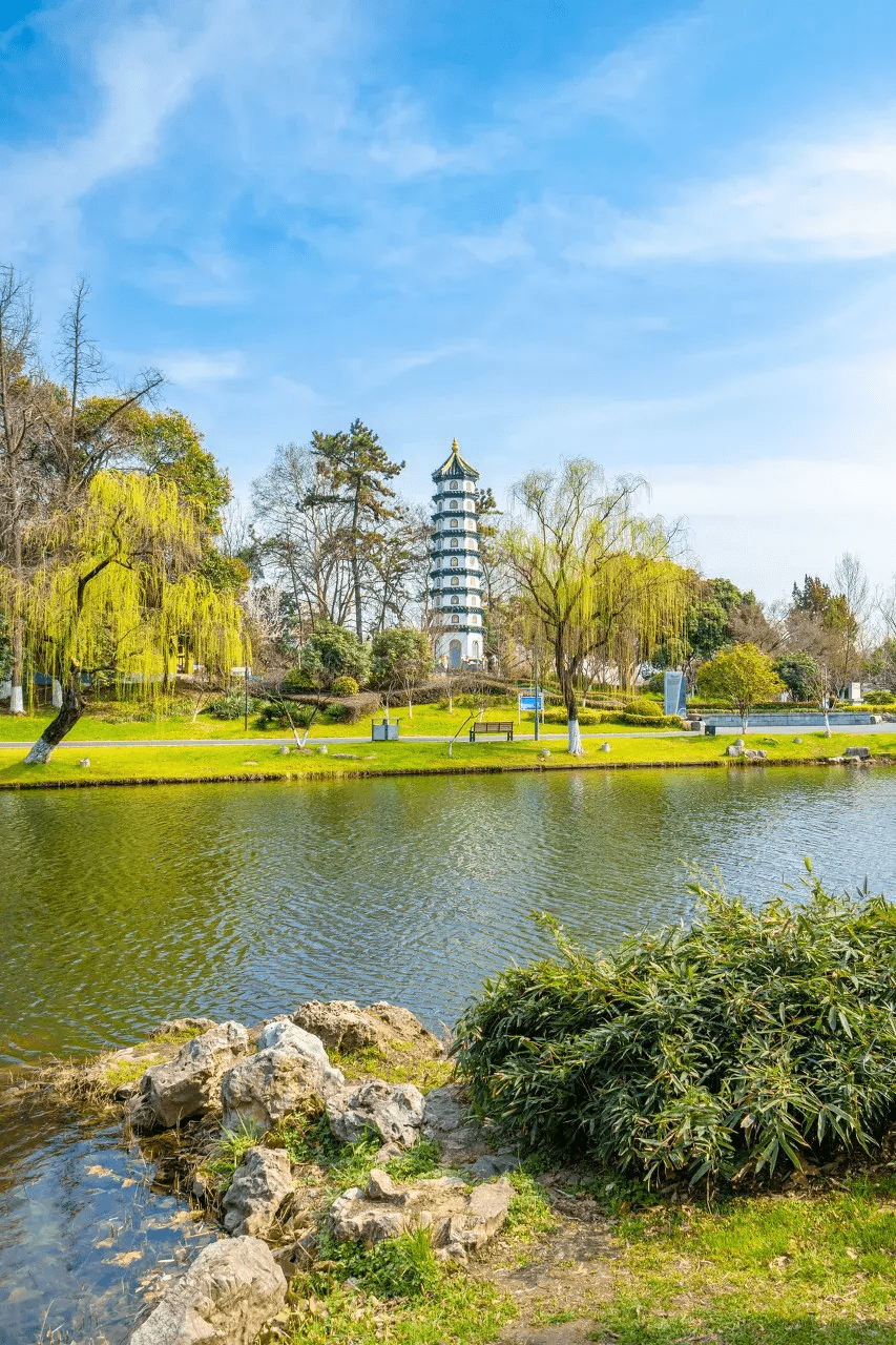 关于南京春天的61张高清美图,美翻你的朋友圈_美得_雨花台_公园