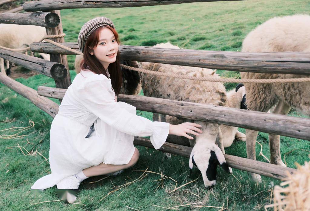 张紫宁秋日牧场写真释出 与小羊可爱合影_张紫宁_写真_小羊