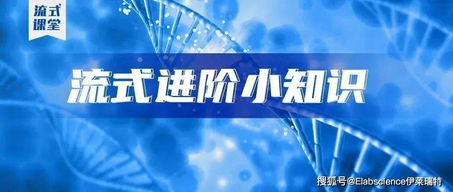 Elabscience流式课堂|细胞周期检测中的常见问题及解决方案