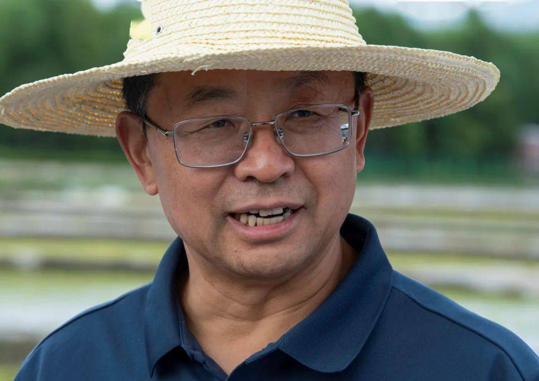 育见| 张福锁院士:科技兴农育英才 "小院"书写大文章_教育_政策_民生