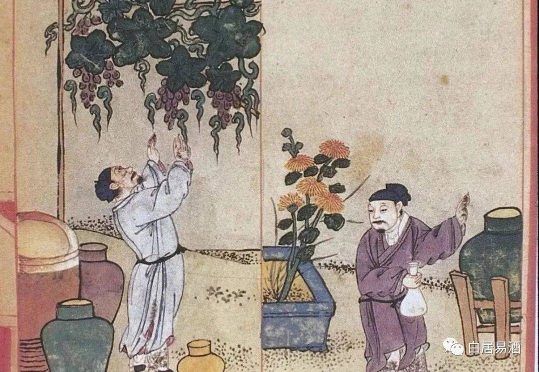 白居易酒‖ 天地迢遥自长久,不如生前一樽酒_唐朝_大唐_百姓