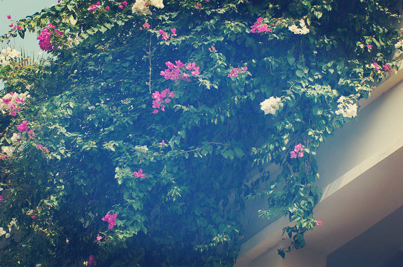 2022公认的铁饭碗排名，公务员排第八，网友：第一非他莫属