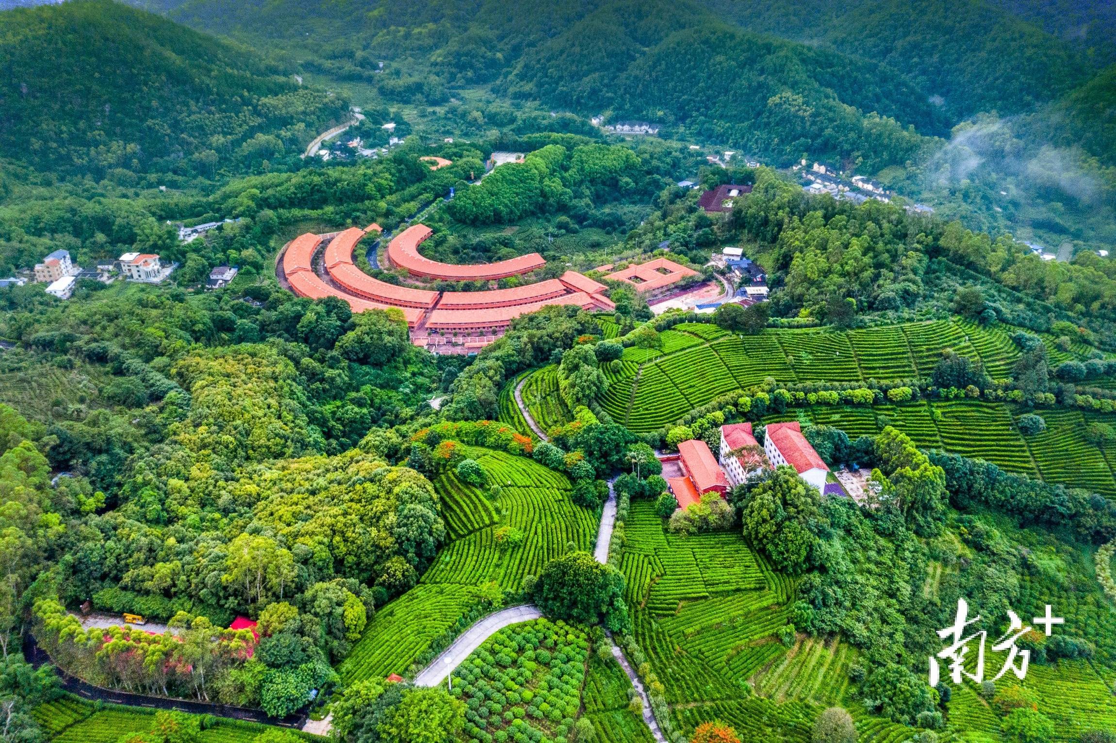 梅州茶园旅游区图片