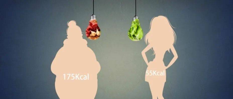 哈佛大学最新研究：正常体重减肥不仅会变胖，还会增加糖尿病风险_关联_策略_模式