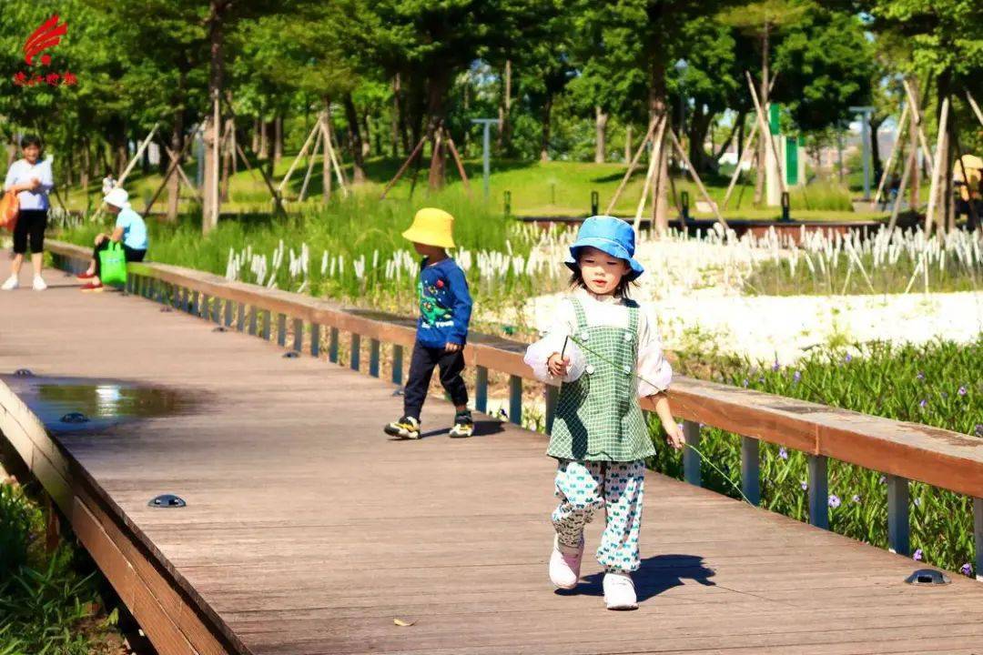 健身、遛娃、露营……南海桂城这个宝藏公园，约！