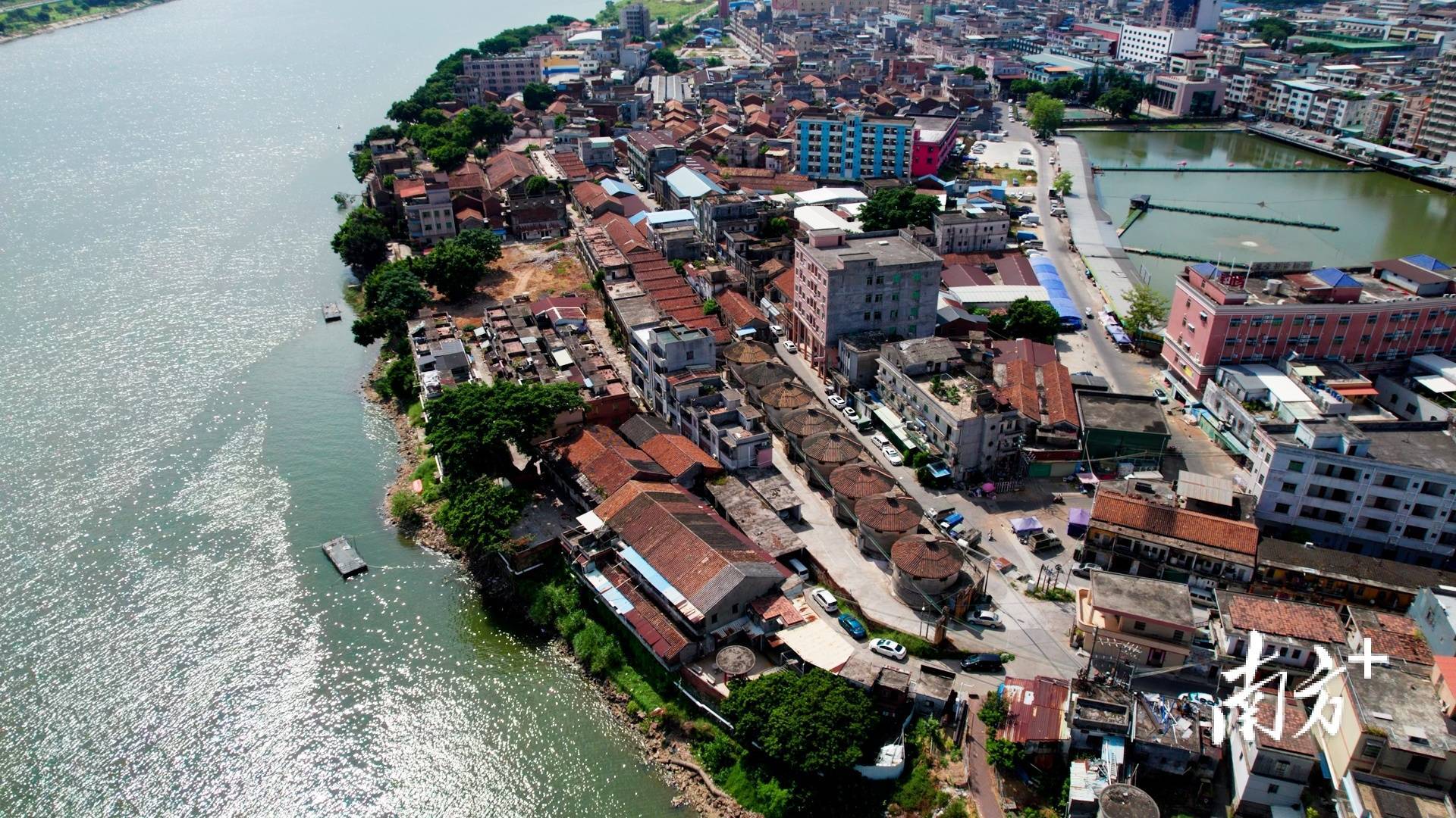 声音|原园洲东江粮仓主任叶剑华揭秘粮仓储粮要点:防潮防虫防老鼠