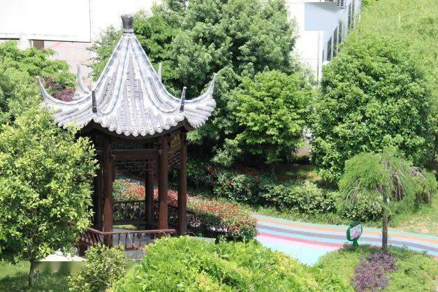 茶非遗巡展走进琅琊镇中心小学_教育_金华市_文化