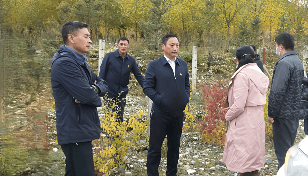 扎西旺加带队调研指导国道沿线绿化提升工作_玉树_规划_道路