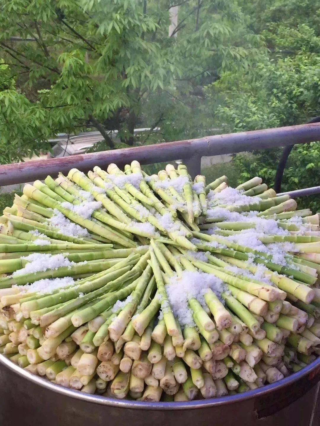 产地食材 ▎临安天目山笋干鲜嫩脆竹海深处的美味