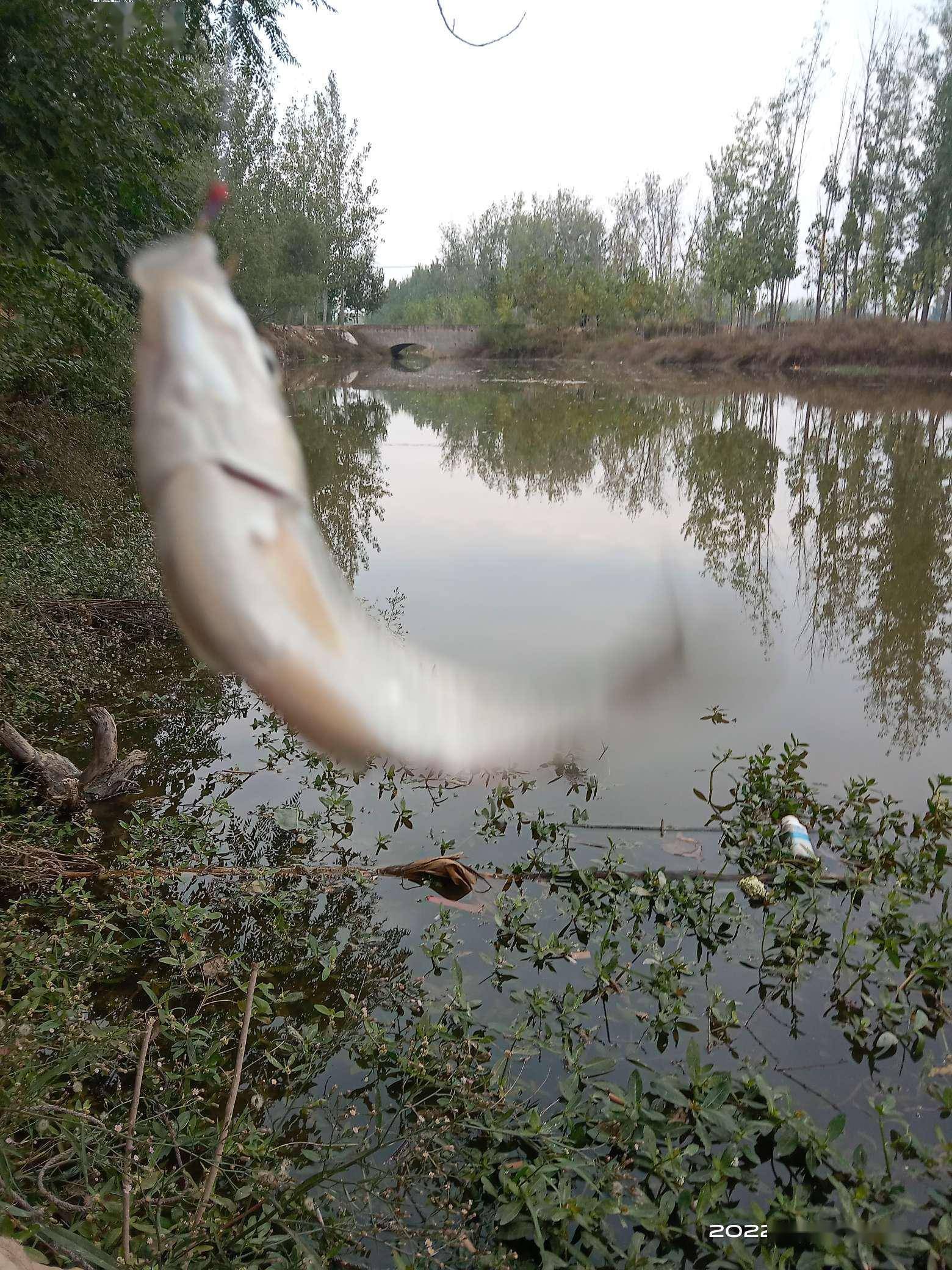 那就是致命的诱惑！野钓想空军都难