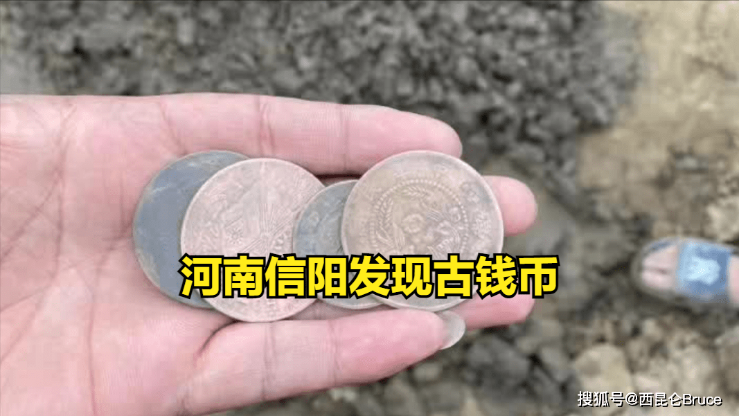 百人寻宝！河南信阳发现古钱币，最新回应：是古人出殡时撒的钱