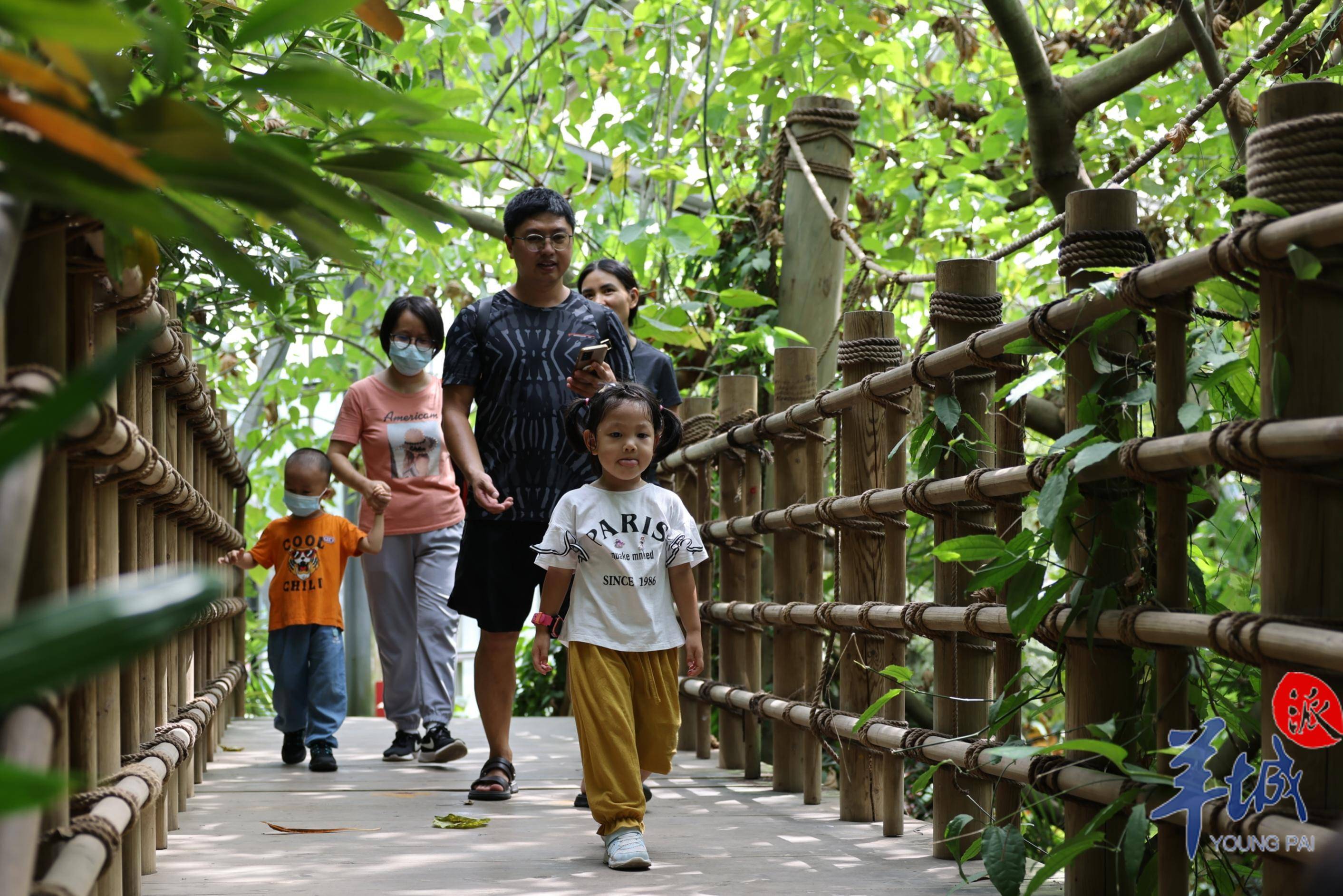 华南国家植物园：假期打卡、遛娃、植物科普圣地