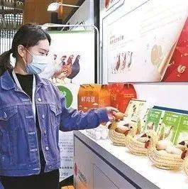 打造种业之都,北京开展四个特色种源保护行动_油鸡_种质_资源