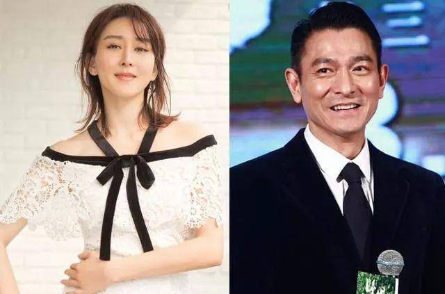 图一鲜为人知, 最后一对意想不到_关系_胡静_刘德华