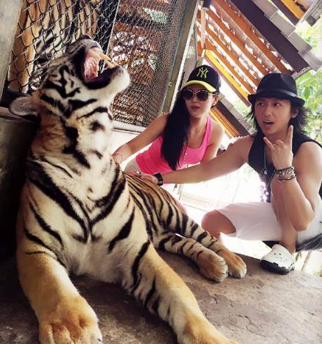 张淇老婆晒游客照,夫妻俩近距离接触抚摸大老虎,太勇了_韦佳_专业
