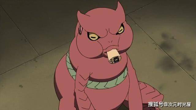 火影忍者里最特殊的通灵兽为什么是妙木山的蛤蟆?_自来也_预言_动漫