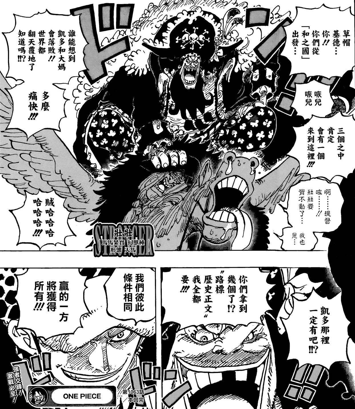 哪怕罗为了救路飞用