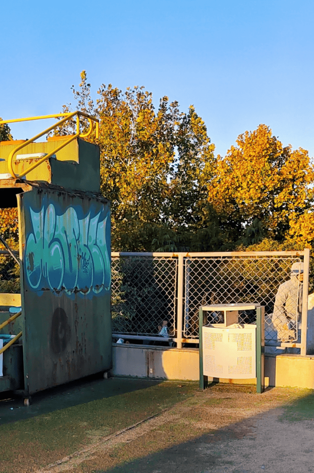 山东最美大学|山东工艺美术学院刘苗苗:《追光者》_参赛_摄影_作品