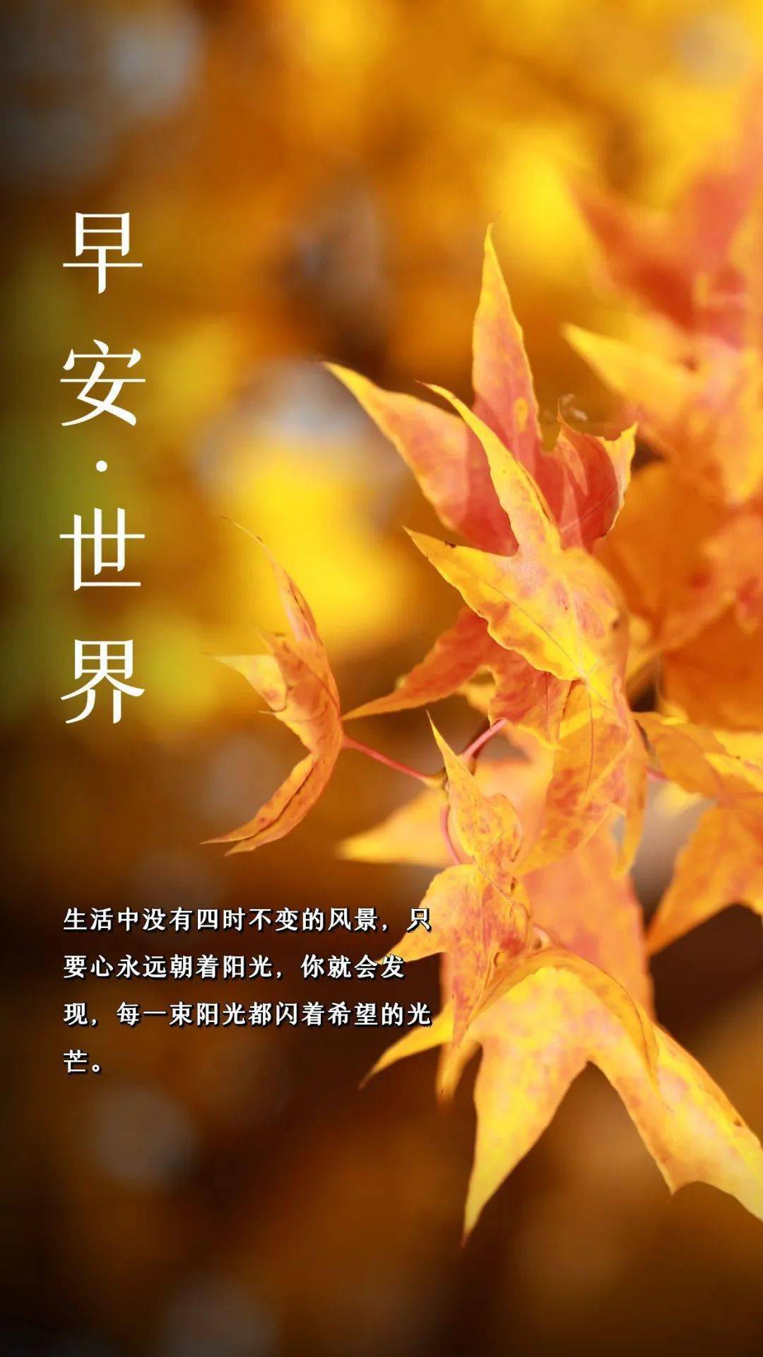 10月15日 周末晨安| 新的一天，新的起头！