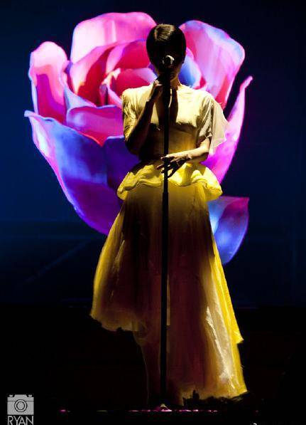 事实上,ryan并不是明星助理,他的身份其实是王菲的多年铁粉,因为拍摄