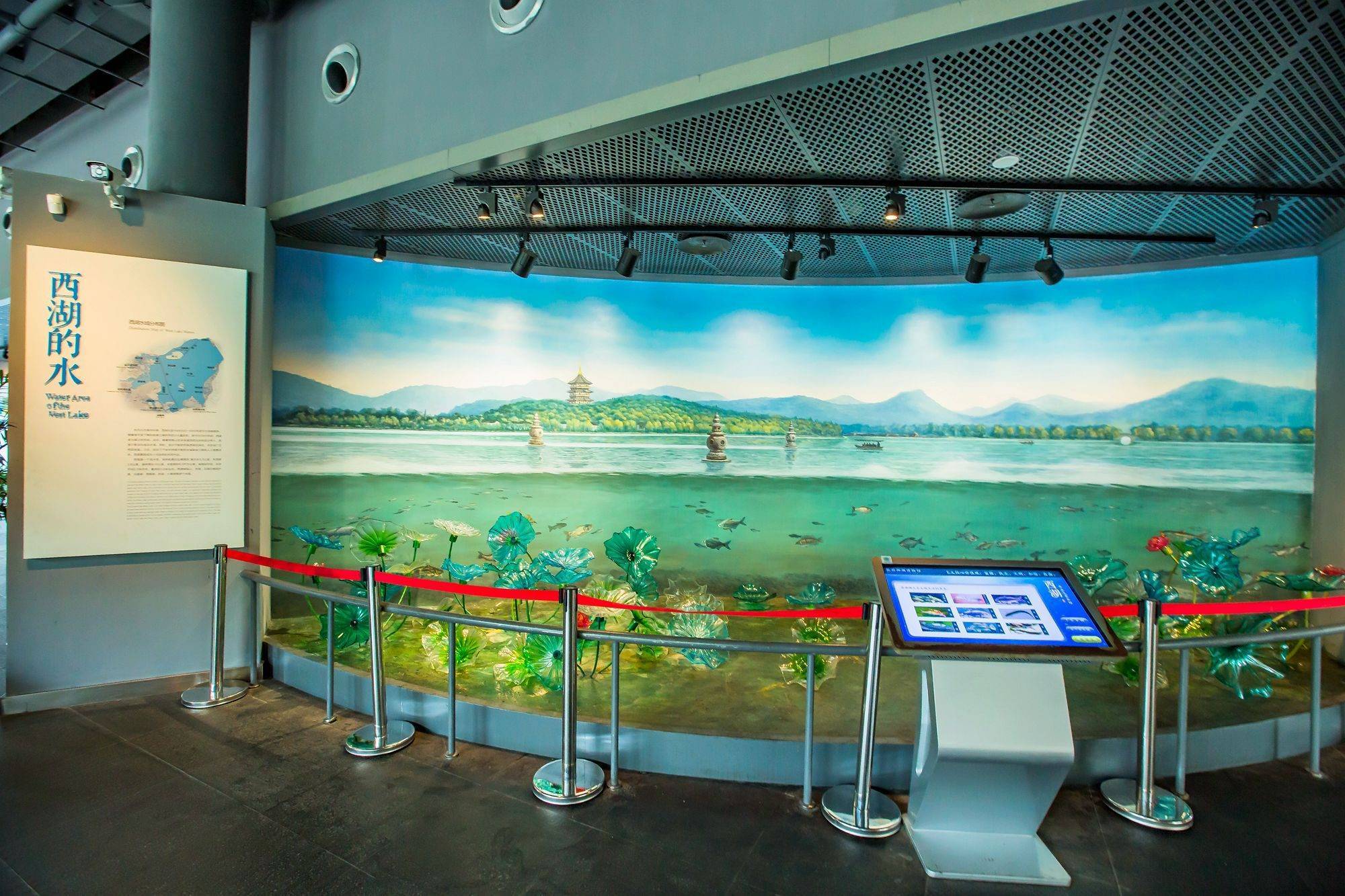 打卡杭州西湖博物馆，感受东方文化名湖的魅力，是研学的好去处