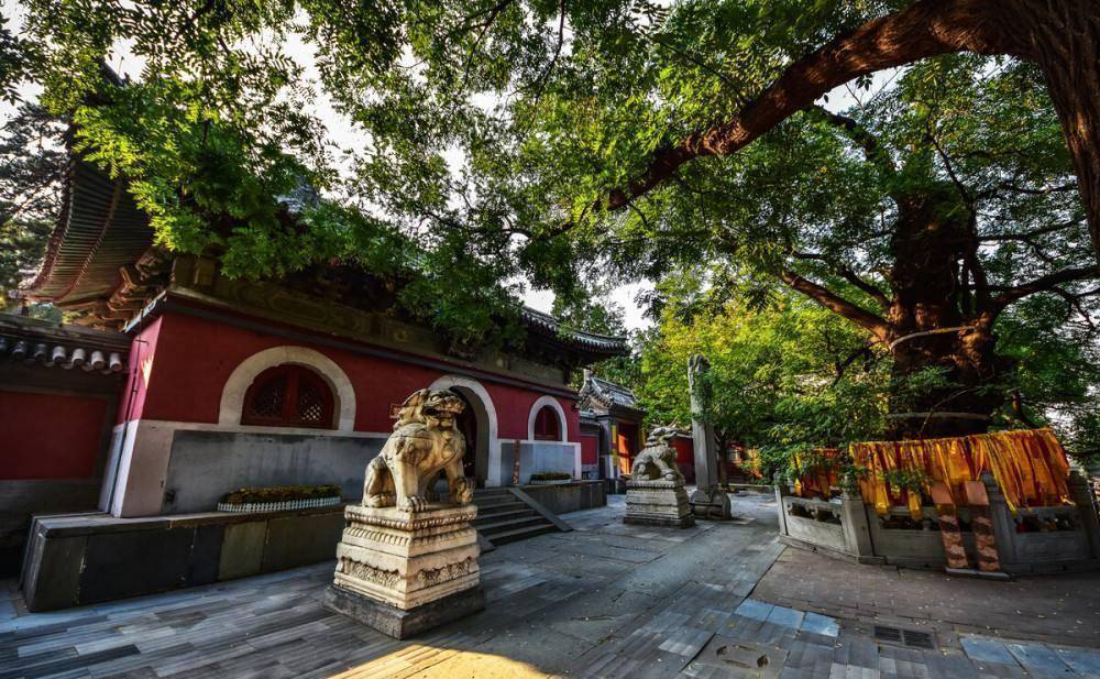 北京这处千年寺庙走红，是保存辽代文物最多、最完善的寺庙