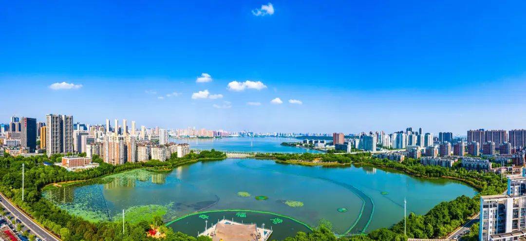 洪山区高端网站建设_(武汉市洪山区网格化管理中心)