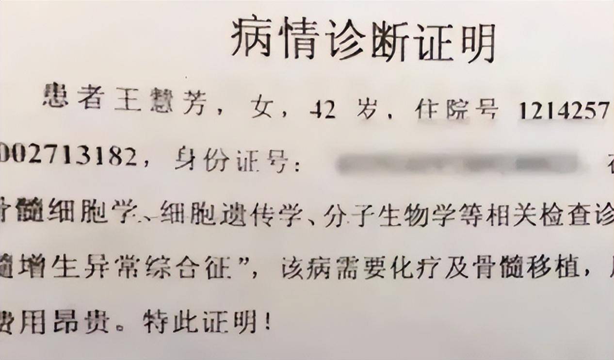 道德绑架儿子:不捐骨髓就是不孝_陈志坚_王慧芳_陈斌