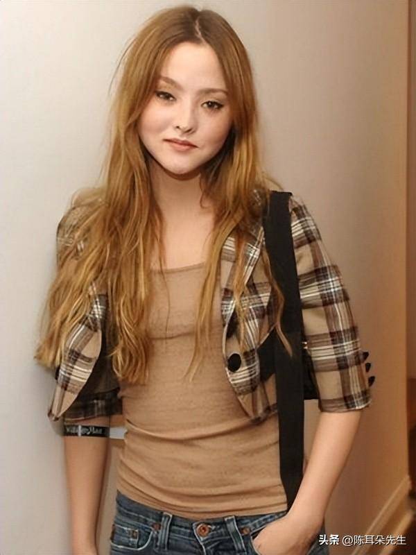 戴文青木谈李连杰,我看了穿西装的李连杰,就知道他是习武之人_杨紫琼