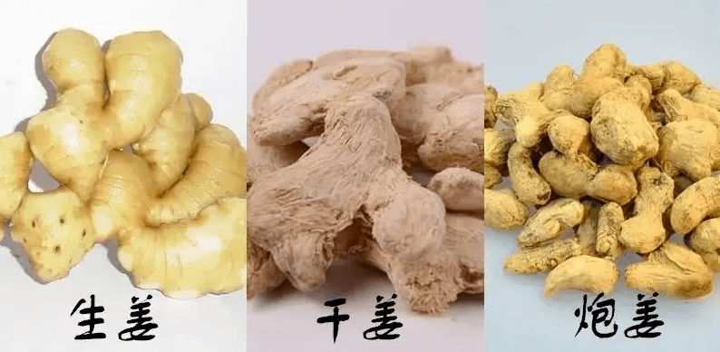 生姜,干姜,炮姜,姜炭,高良姜,这么多姜,功效有啥区别_作用_温里_风寒
