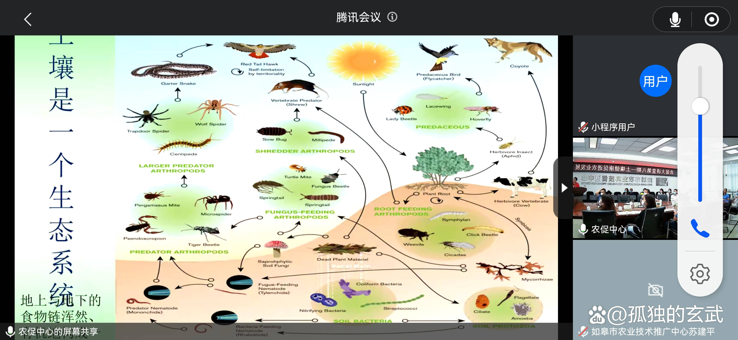 腐殖质化过程图片