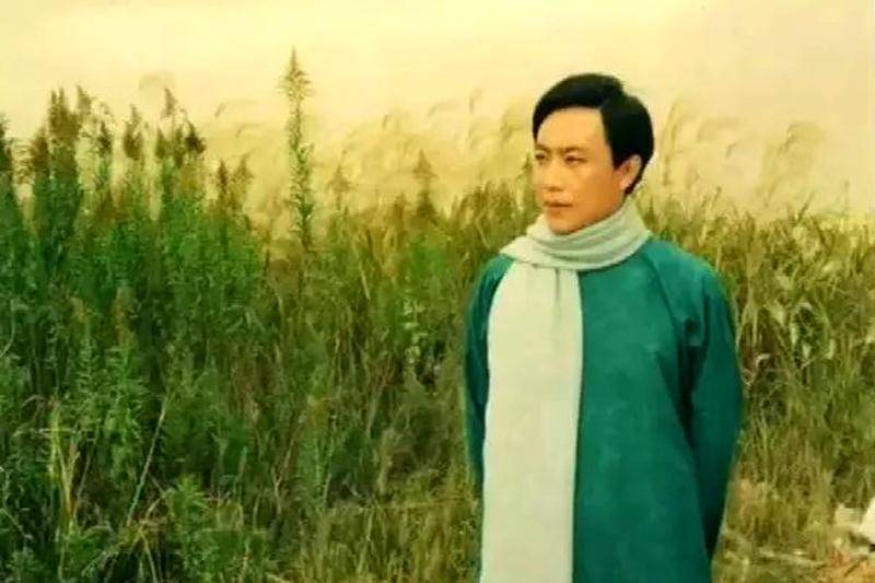 参演了《唐明皇》《杨贵妃》《冯白驹将军》《林祥谦》《金色海湾》
