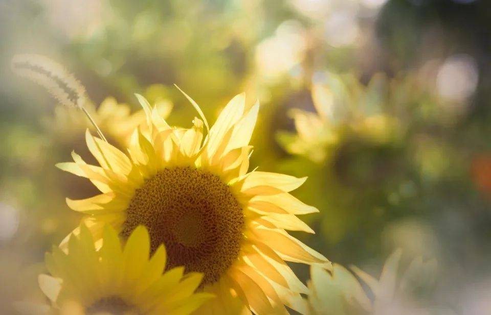 家电线下渠道出货下跌超过10%,零售渠道碎片化加速-家电圈官网