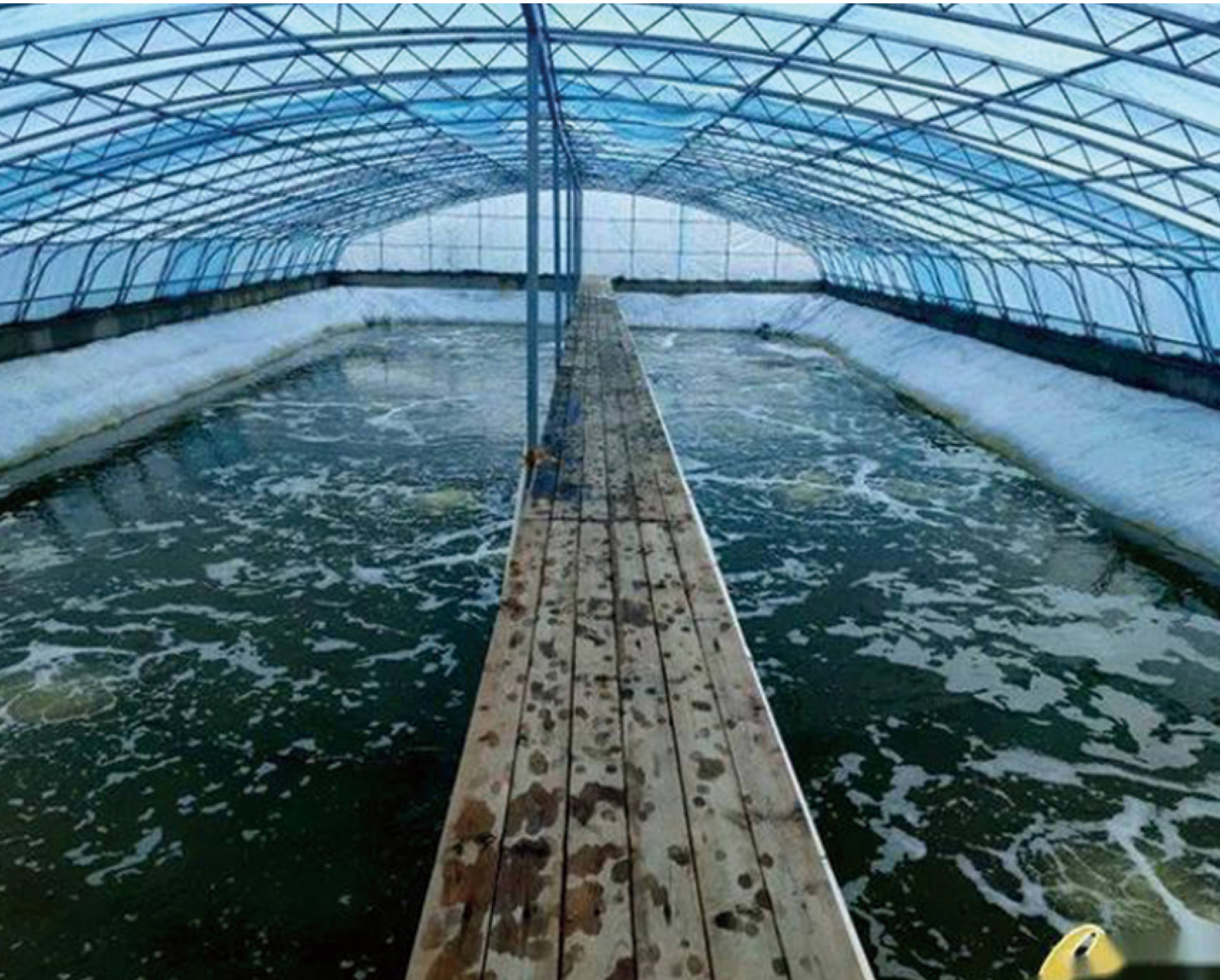 渔业发展看我们——智慧牧渔(广州)科技有限公司_养殖_智能_系统