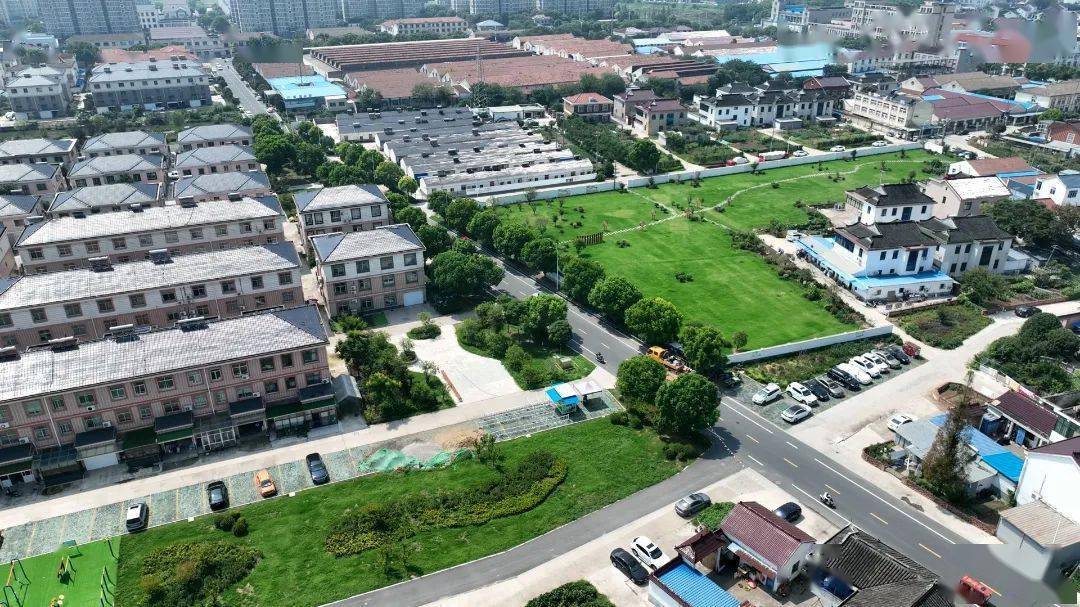 住在塘桥这个村,太幸福了!_横泾_服务_区域