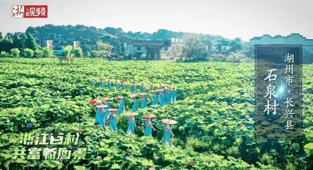 硬核推荐（南太湖古镇在哪）太湖古镇景点，(图17)