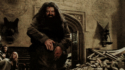 r.i.p | 海格一直都在,魔法世界我们再见_扮演者_死亡_哈利波特