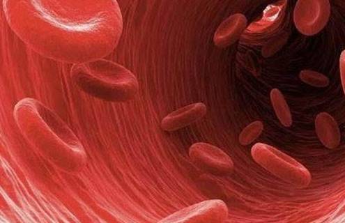 很少吃肉却查出了脂肪肝 和每天喝几杯蜂蜜水有没有关系 食物 葡萄糖 肝脏