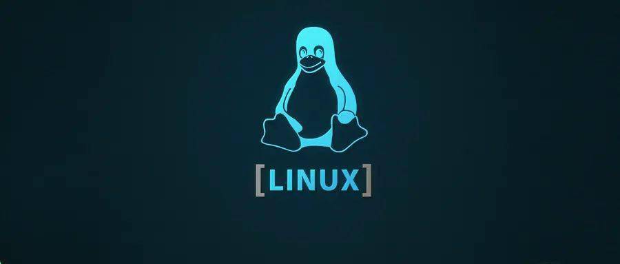 小干货：Linux 如何查看文件是被那个进程占用写数据？