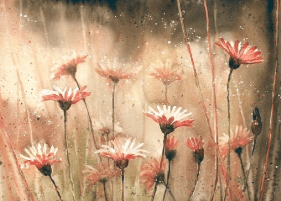 画师Malgorzata Szczecinska ，唯美花卉水彩_交流_版权_图文
