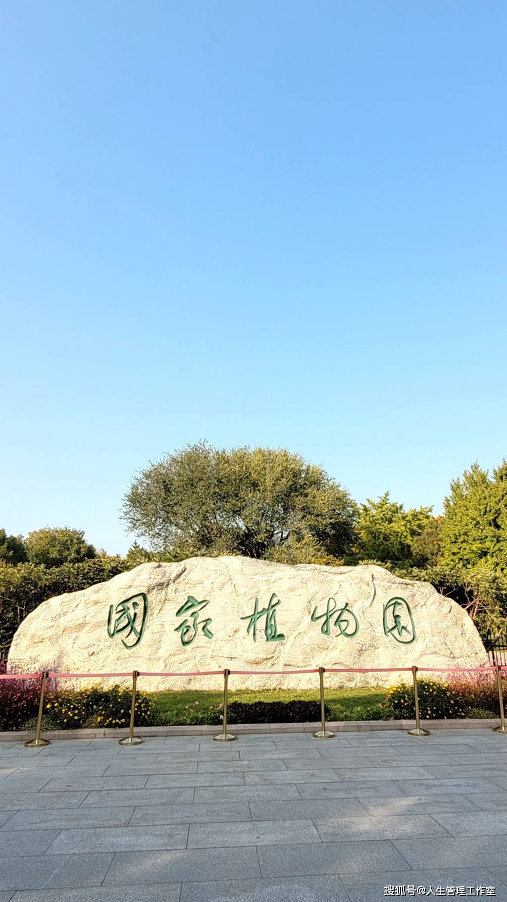 5米 高3米 世所罕见 在北京开花结实_国家_植物_网络