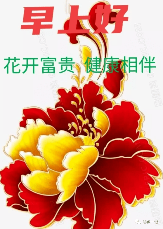 早上好，花开富贵，健康相伴_搜狐网