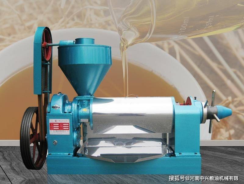 冷榨核桃油工艺流程?核桃油加工价格多少钱一套?_进行_设备_生产