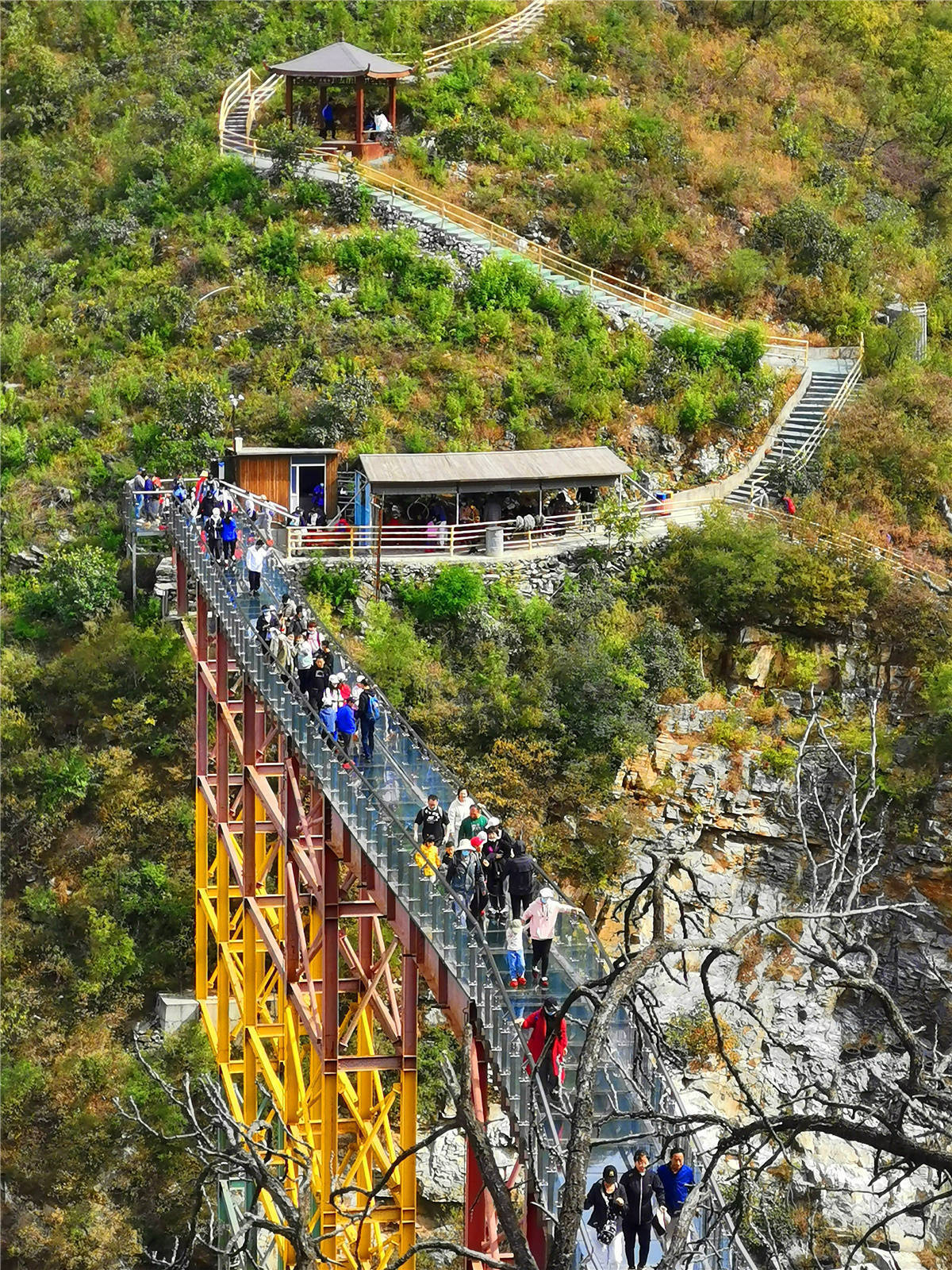 月亮山景区玻璃栈道图片