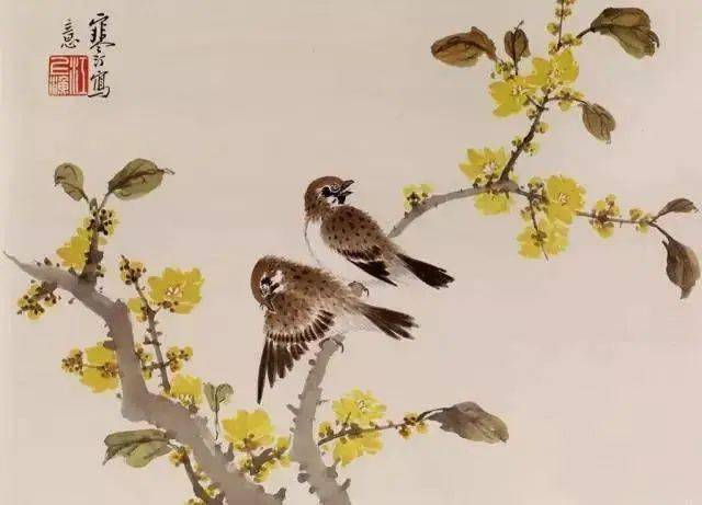 荷花黄头 竹杏山白头翁 红叶黄凤头红 梅花翠头黄肚子 红寥花金雀鸟