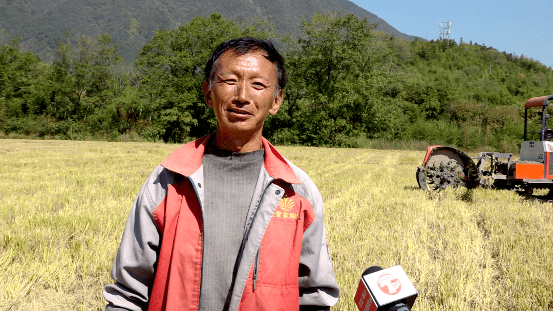 黄山区:秋种油菜不闲田_种植_冬闲田_新丰乡