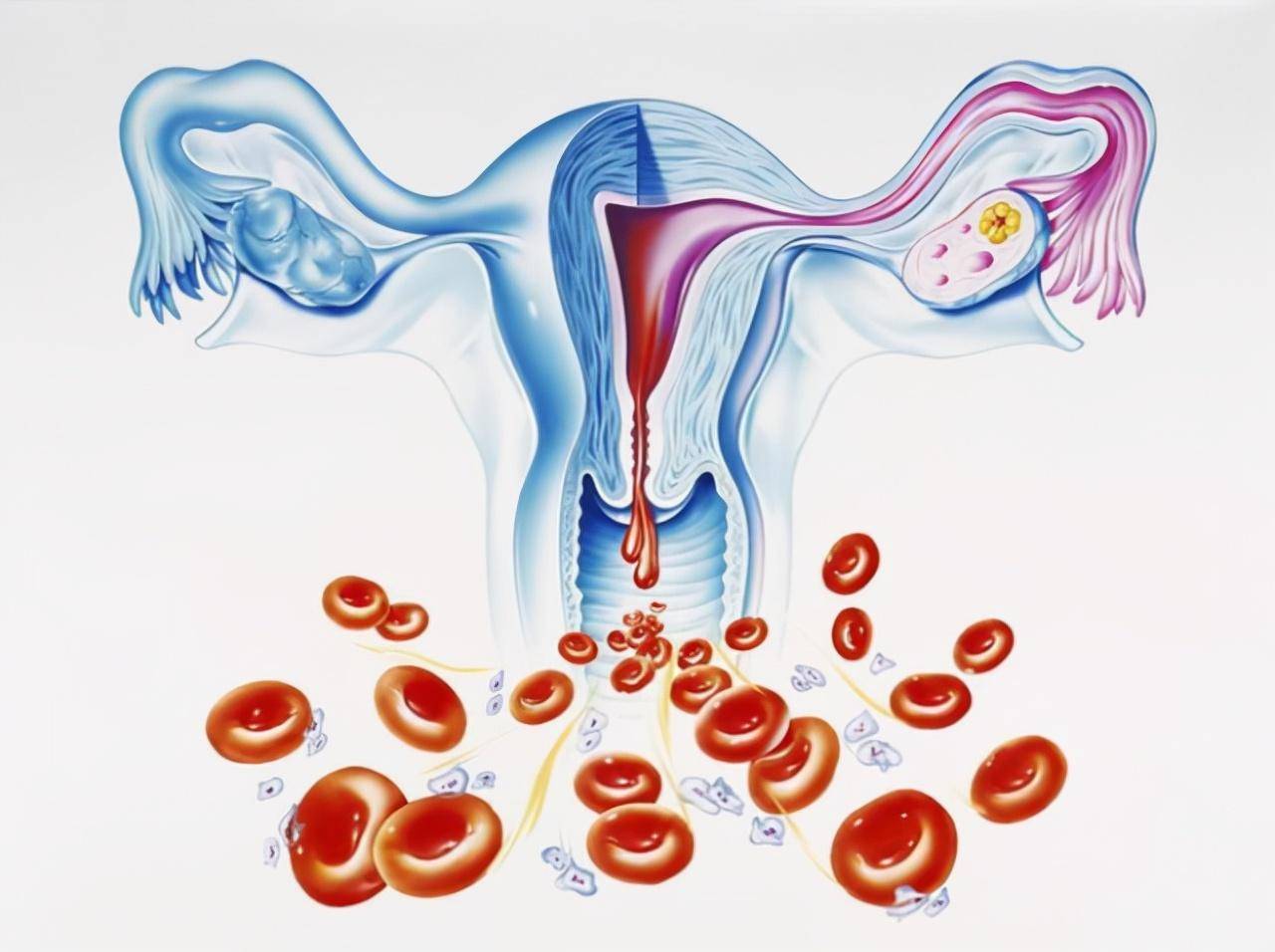 月经前正常分泌物图片图片